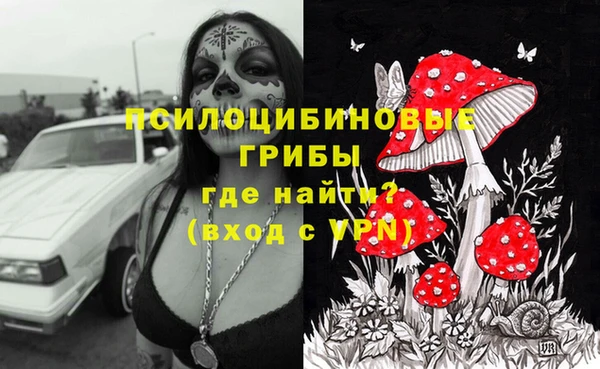 ALPHA-PVP Богородск