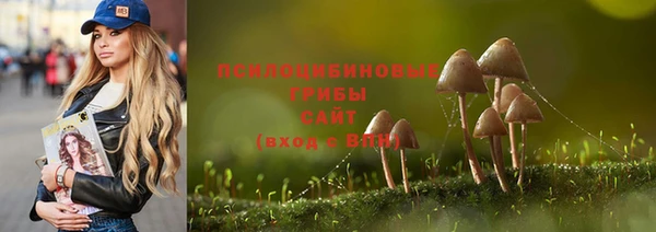 ALPHA-PVP Богородск