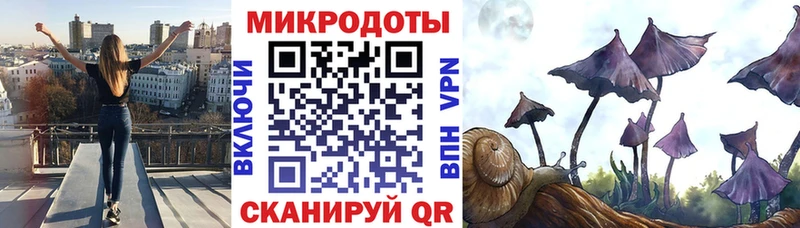 Псилоцибиновые грибы MAGIC MUSHROOMS  где можно купить   Чернушка 